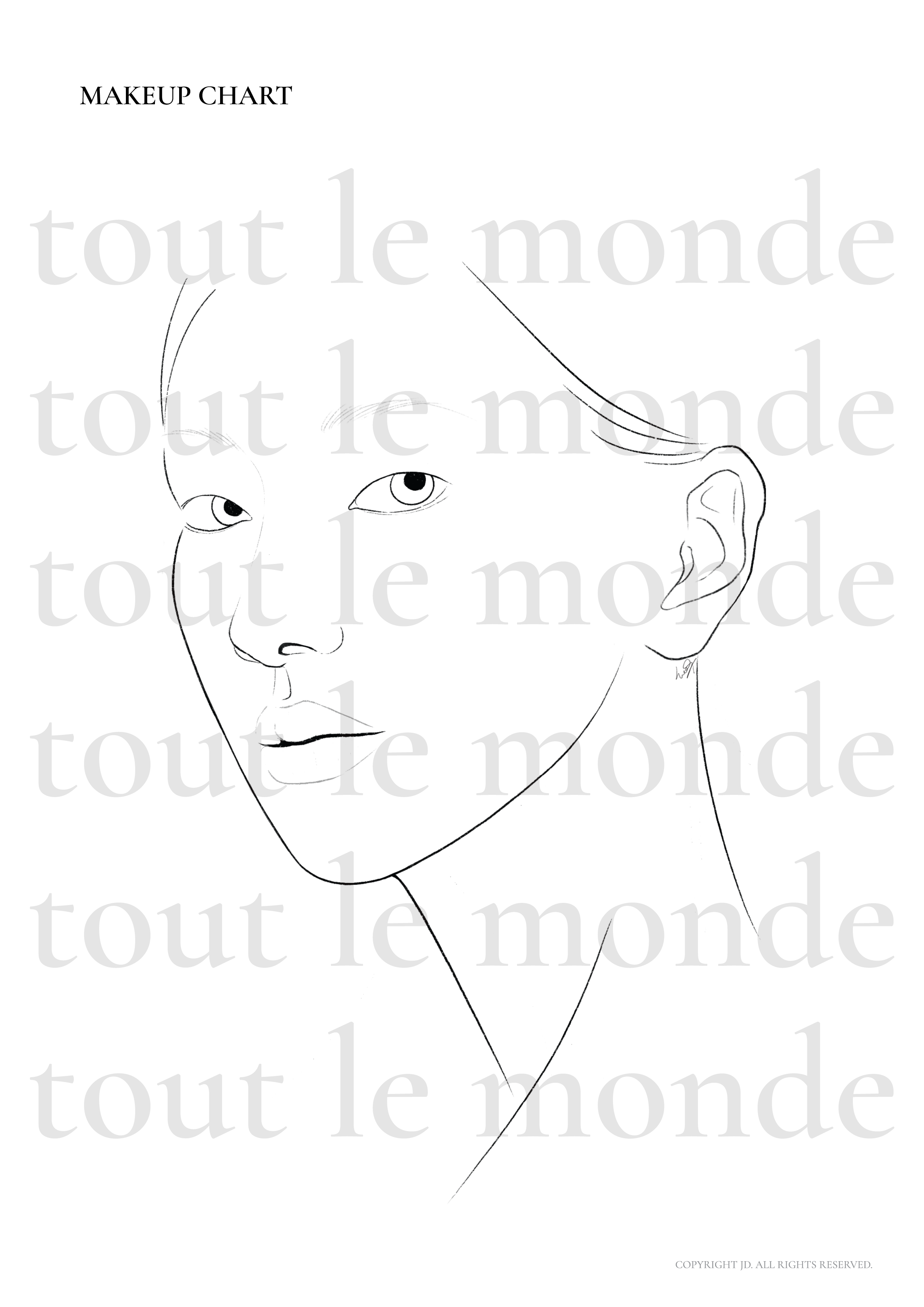 no06 face chart